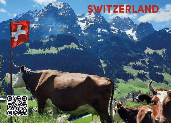 Swiss Magnet - lot de 6